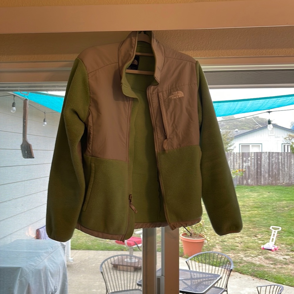 The north face mint fleece